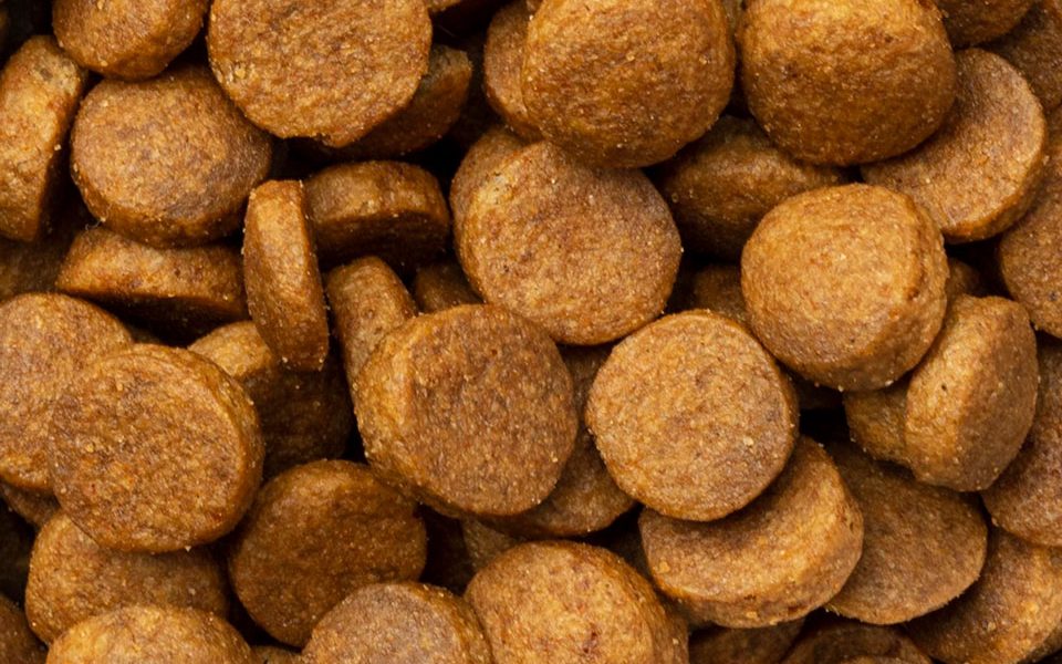 Nutrición Animal