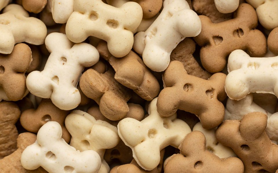 Nutrición Animal