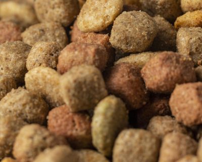 Nutrición Animal