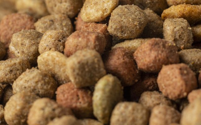 Nutrición Animal