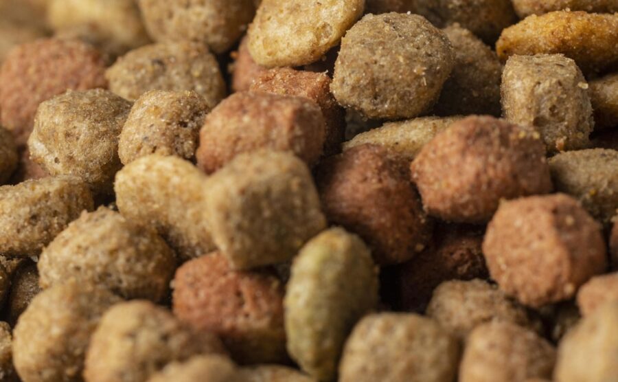 Harina de Soya Desgrasada